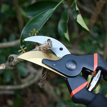 Heavy Duty Garden Pruning Shears (1 Pc)
